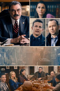 Постер сериала «Голубая кровь (2010 - 2024)» — (21 из 149)