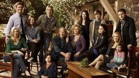 «Родители (2010 - 2015)» — обои к сериалу #9