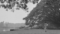 Обои к фильму «Звезда за темной тучей (1960)» — (12 из 21)