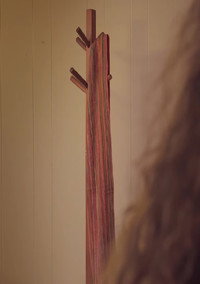 Постер к фильму The scarf (2021)