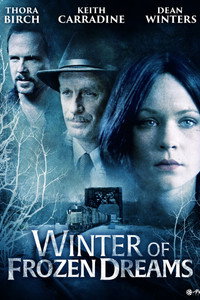 Постер фильма «Зима замерзших надежд (2009)» — (2 из 4)