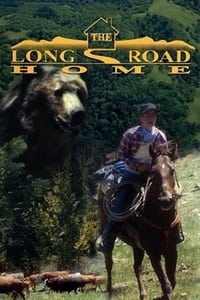 Poster de The Long Road Home