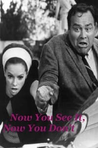 Poster de Now You See It, Now You Don't