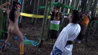 «Kunoichi ninpô-chô: Kage no tsuki (2011)» — обои к фильму #1