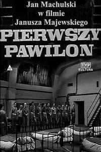 Pierwszy pawilon (1968)