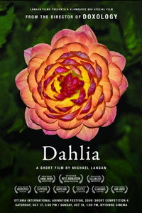 Dahlia