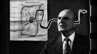 «Колы (1999)» — обои к мультфильму #1