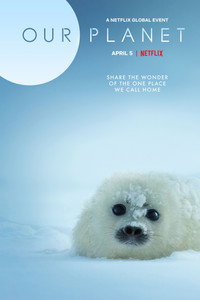Постер сериала «Наша планета (2019-2023)» — (11 из 54)