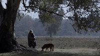 «Дама с собаками (2015)» — обои к фильму #4