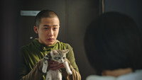 «Обожание (2019)» — обои к фильму #2