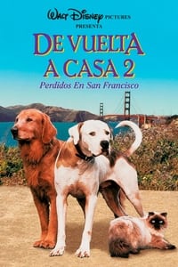 Poster de Volviendo a Casa 2: Perdidos en San Francisco