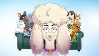 «Мой питомец — псих (2021-2023)» — обои к мультсериалу #10