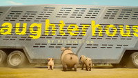 Обои к мультфильму «Скотный двор (2025)» — (15 из 53)