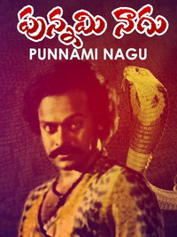 Постер фильма «Punnami Naagu (1980)» — (1 из 1)