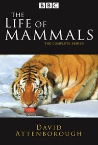 copertina serie tv The+Life+of+Mammals 2002
