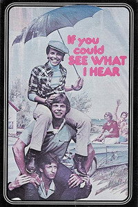 Постер фильма «Если бы ты мог видеть то, что я слышу (1982)» — (3 из 6)