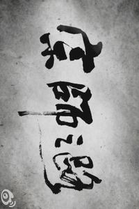 Poster de 宗师之路