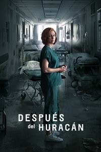 Poster de Después del huracán Katrina