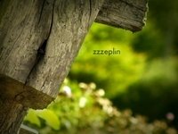 Minuscule: The Private Life of Insects Season 1 Episode 7
