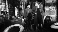 «Бродячие собаки без ошейников (1955)» — обои к фильму #9