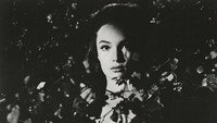 «Женщина-змея (1961)» — обои к фильму #1