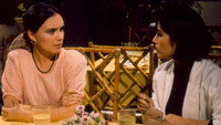 «Всё дозволено (1988-1989)» — обои к сериалу #5