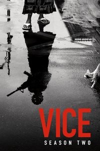 VICE 2×1