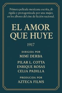 Poster de El amor que huye
