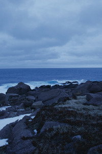 Sunrise at Cape Spear (2011) poster
