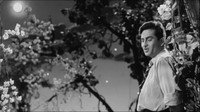 «Тайком от всех (1956)» — обои к фильму #3