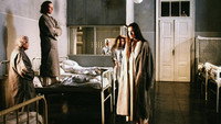 «День идиотов (1981)» — обои к фильму #1