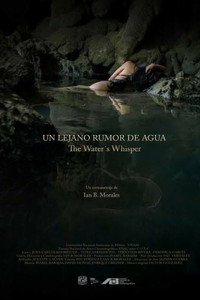 Постер фильма «Un lejano rumor de agua (2020)» — (2 из 9)
