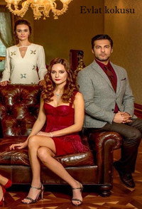 Постер сериала «Запах ребенка (2017)» — (2 из 5)