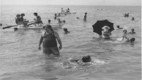 «La famiglia Passaguai (1951)» — обои к фильму #1