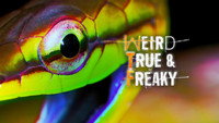 «Weird, True & Freaky (2008)» — обои к сериалу #3