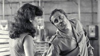 «Здоровая эротика (1986)» — обои к фильму #1