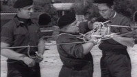 «Недотёпы на флоте (1958)» — обои к фильму #1