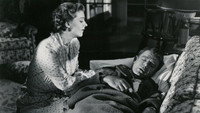 «Леди хочет норку (1953)» — обои к фильму #1