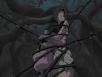 Kurenais Top Secret Mission The Promise with the Third Hokage