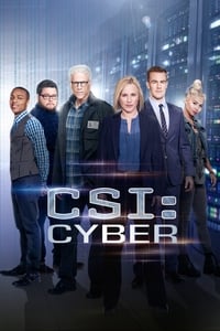copertina serie tv CSI%3A+Cyber 2015