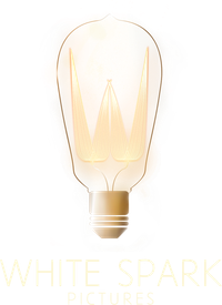 White Spark Pictures