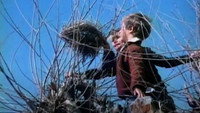 «Ангелочек, сделай радость (1993)» — обои к фильму #1