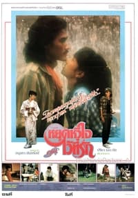 หยุดหัวใจไว้ที่รัก (1984)