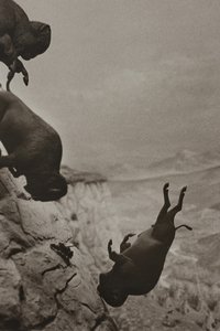 movie-images