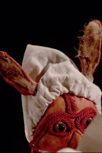 Imagem do Filme Aggregati in natura