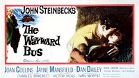 The Wayward Bus
