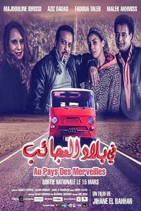 في بلاد العجائب (2017)