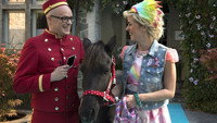 «K3 Dierenhotel (2014)» — обои к фильму #2