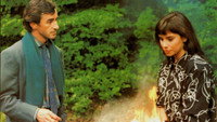 «Крик совы (1987)» — обои к фильму #1
