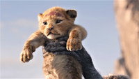 Обои к мультфильму «Король Лев (2019)» — (15 из 53)
